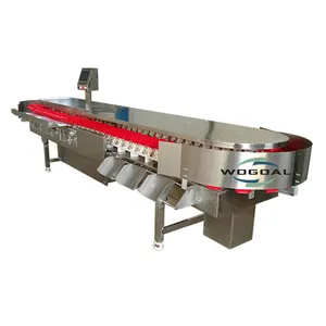 Hot sale automatic chicken duck fish food weight grade sorting machine