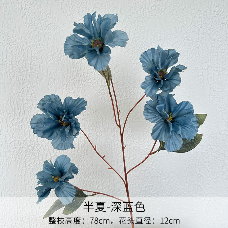 Pinellia bleu foncé