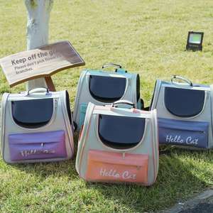 Sac à dos pour chat de grande capacité en gros, confortable et respirant, avec un style tendance, sac à chat portable pour sortir - Product Image 2