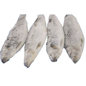 冷冻鲱鱼 WR（Clupea Pallasii）供应商直接工厂价批发销售，可批量订购，有可靠认证 - Product Image 4