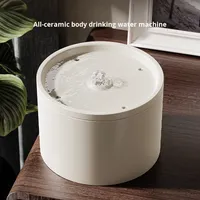 Distributeur automatique d'eau en céramique pour animaux de compagnie avec filtre de circulation silencieux pour chats et chiens pour la vente en gros