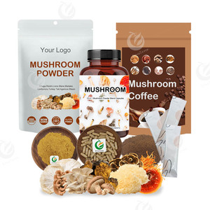 Nhãn hiệu riêng Hữu Cơ hericium erinaceu Chiết Xuất sư tử của bờm nấm chiết xuất sư tử bờm bột - Product Image 6