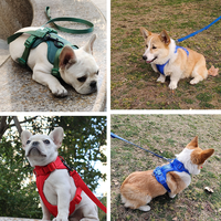 Ensemble Harnais et Collier pour Chien en PVC Personnalisé avec Logo, Nouveau Design 2026, Luxe, Vente en Gros, Anti-Traction