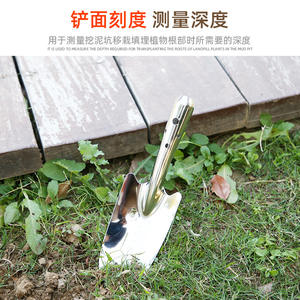 Outils <span class=keywords><strong>de</strong></span> jardin en acier inoxydable, petits outils, équipement <span class=keywords><strong>de</strong></span> jardin <span class=keywords><strong>de</strong></span> <span class=keywords><strong>base</strong></span> - Mini pelle - Product Image 6