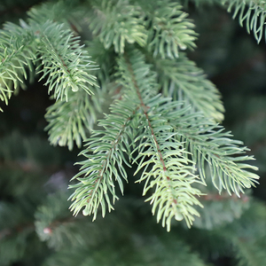 ต้นคริสต์มาสจำลองทำจาก7.5ft หรูหราต้นคริสต์มาสออกแบบใหม่ตกแต่งวันหยุด - Product Image 2