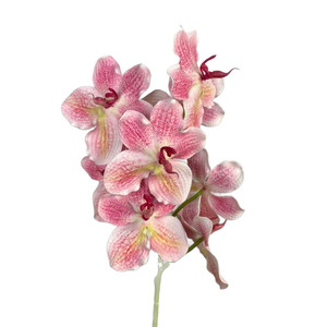 ดอกกล้วยไม้แวนด้า 9 หัว ยี่ห้อจินซี ดอกไม้ประดิษฐ์ ผ้าไหม สีขาวเหลือง สำหรับตกแต่งงานแต่งงาน ก้านเดี่ยว - Product Image 4