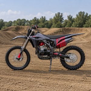 Motocicleta Todoterreno de Gasolina para Adultos, 300cc, 4 Tiempos, Refrigerada por Aire, Monocilíndrica, Profesional, para Carreras - Product Image 4