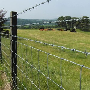 <span class=keywords><strong>Alambre</strong></span> de Púas de Acero Recubierto de PVC de Alta Resistencia, Rollo de 10kg-50kg, Fácil Instalación para Cercas Agrícolas - Product Image 5