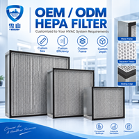 Filter HEPA Lipat Dalam H13 H14 Pemisah Efisiensi Tinggi untuk HVAC Ruang Bersih