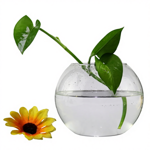<span class=keywords><strong>Vasi</strong></span> in Vetro a Forma di Boccia, Vaso in Vetro da 20cm, Terrario in Vetro Trasparente, Vaso <span class=keywords><strong>per</strong></span> Fiori in Vetro Borosilicato - Product Image 4