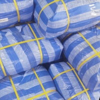 Bâche en PE à rayures bleues et blanches