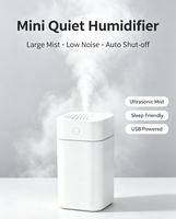 Humidificateur USB Mini Ultra-Silencieux à Grande Capacité (300 ml) pour Maison et Voiture – Vente Chaude, Approvisionnement Direct Usine
