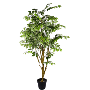 Pianta Artificiale di Ficus 5ft 6ft 7ft 150cm 180cm 210cm Albero Finto Plantas Artificiales Decorazioni in Plastica per Interni ed Esterni per la Casa - Product Image 2