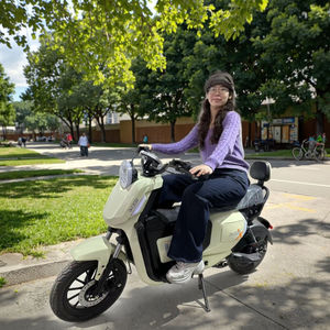 Motocicleta Eléctrica de Dos Plazas con Velocidad Máxima de 60V, Bicicleta Eléctrica con Pedal - Product Image 4