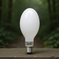 Lámpara de Vapor de Mercurio 80W E27 HLF Transparente 5000K Luz Diurna 55 Lm/W Ra50 10000 Horas de Vida Útil