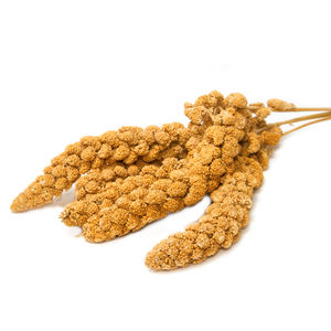 Voedsel Voor Vogels 15Kg Kartonnen Doos Pakket Vogel Voedsel Geel Rode Gierst Sprays Vinger Gierst - Product Image 1