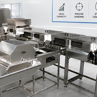 Machine de calibrage et de pelliculage des œufs de cane en acier inoxydable de qualité alimentaire pour ligne de traitement des œufs destinée aux usines d'œufs conservés