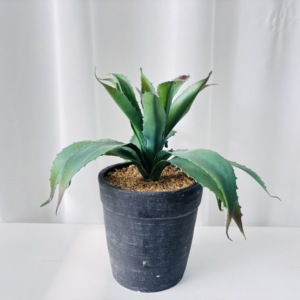 Maceta de Plástico con Imitación Realista de Aloe <span class=keywords><strong>Vera</strong></span>, Planta en Maceta para el Día de San Valentín, Decoración de Mesa para el Hogar, Arreglo de Vegetación Verde - Product Image 2