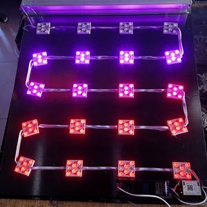 Boîte à lumière rétroéclairée RGB résistante aux intempéries pour affichage publicitaire en extérieur, pour les magasins de rue et les places commerciales - Product Image 3