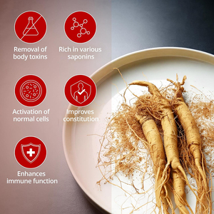 Ginseng rouge coréen biologique sans gluten, en poudre naturelle, de haute qualité, marque privée, pour réduire le stress et soutenir le système immunitaire - Product Image 6