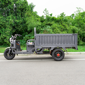 Eccezionale Triciclo Elettrico a 3 <span class=keywords><strong>Ruote</strong></span> di Alta Qualità per Adulti - Product Image 4