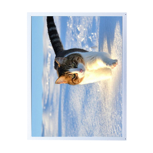 ใช้งานร่วมกับอินโนลักซ์ใหม่ TFT LCD แผง 12.1 นิ้ว WLED แบ็คไลท์อุตสาหกรรม G121XCE-L01 - Product Image 2