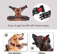 Harnais pour chien personnalisable en nylon respirant et réglable, marque privée OEM, pour chiens de petite, moyenne et grande taille