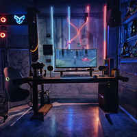 Vente en gros en usine Bureau de jeu RVB avec lumière LED Table de jeu PC en métal pliable
