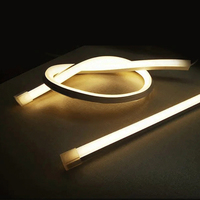 Tube LED flexible intelligent DC24V 48V Neon Flex Compatible Dali PWM Loxone KNX 2700-6500K Tunable White Façade Noen Strip