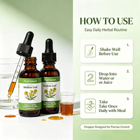 Extrait de feuille de molène en gouttes OEM, formule naturelle, faible teneur en sucre, soutien à la purification et à l'immunité respiratoire