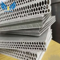 Panneau en plastique alvéolaire Lianggong LG PP pour coffrage en béton - Épaisseur 12 mm, surface peinte, haute résistance, taille réglable, réutilisable