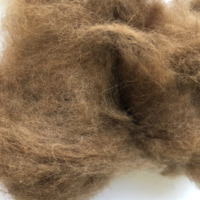 Supersoft enthaarte Kamel haare/Kamel wolle zu einem guten Preis