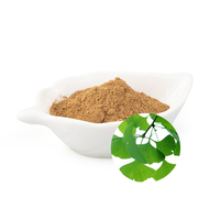 Extrait de Ginkgo Biloba Naturel en Vrac, Standard EGb 761, Qualité Alimentaire, Matière Première Végétale, Poudre pour Complément Alimentaire