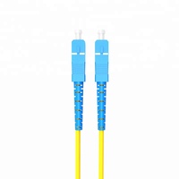Kabel Patch Fiber Optik Single Mode SC SC APC LSZH PVC Simplex SM 2.0mm 3.0mm G652D untuk Jaringan Komunikasi FTTH Dalam Ruangan