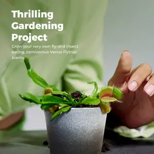 Kit de jardín para interiores y exteriores, estilo Vintage, Venus Flytrap Herb Starter, planta carnívora única para el hogar y la guardería para uso en el suelo - Product Image 2
