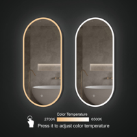 Miroir LED étanche de forme ovale illuminé pour hôtel Plafond suspendu en métal pour salle de bain Maquillage Indice IP44 Conception graphique