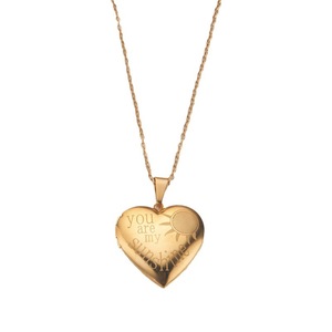 2401 <strong>meise</strong> hot jewelry Stainless steel necklace Silver gold can open heart frame photo box - Product Image 1