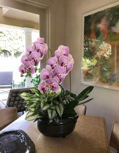 Vente en gros d'orchidées artificielles Phalaenopsis au toucher réel, décoration d'intérieur, arrangement floral haut de gamme - Product Image 3