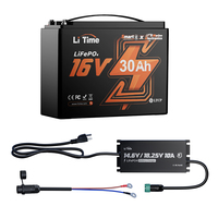 Chargeur de batterie LiFePO4 LiTime 12V 16V 10A avec activation BMS, étanche IP65