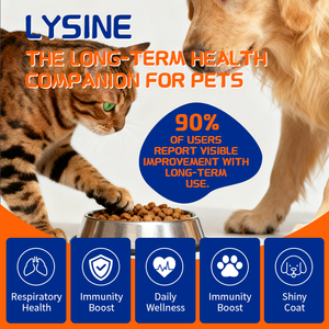 OEM suplemen gigitan lembut lisin anjing, lisin kemurnian tinggi + Vitamin C, kesehatan pernapasan, Label pribadi & pereda batuk kandang anjing - Product Image 3