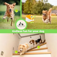 Lanceur de balles automatique pour chien en plastique, livraison rapide, prix d'usine, jouet pour chiot, produits pour animaux de compagnie avec une portée de 3/6/9 m