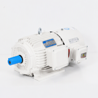 Moteur synchrone à aimant permanent WANNAN TYCP triphasé 0,37 kW-400 kW 220-690 V 50/60 Hz entièrement fermé, montage sur pied/bord de boulon