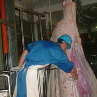 Abattoir Halal certifié, équipement d'abattage de bétail