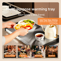 Équipement de cuisine électrique ensemble de chauffe-plats pour buffet de table en acier inoxydable
