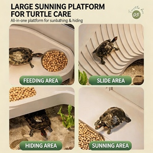 Terrario <span class=keywords><strong>Grande</strong></span> Minimalista de Plástico Grueso para Reptiles, Diseño Limpio sin Bordes, Recinto Personalizado, Vivario Moderno y Elegante - Product Image 4