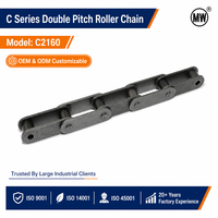 Chaîne de convoyeur à double pas en acier au carbone C2160 résistant à l'abrasion, 101,6 mm, pour tunnels de lavage de voitures et machines à rouleaux