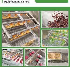 Kommerzielle Zitrus reinigungs maschine 1 Tonne/Stunde Citrus <span class=keywords><strong>Washing</strong></span> Nachine Immersion waschmaschine für Mango 20000 Kg - Product Image 6