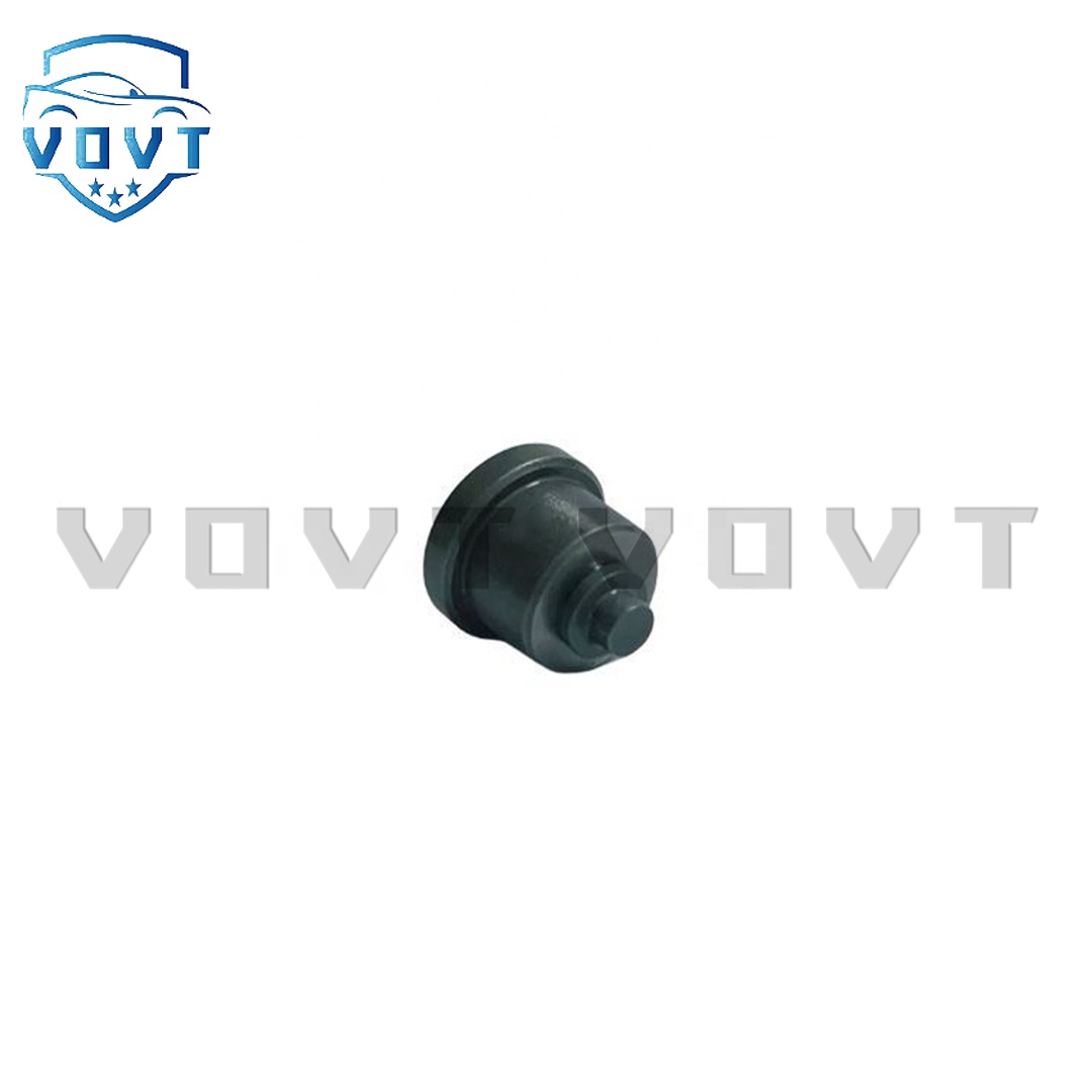 Diesel Engine Spare Parts 1418512208 Delivery Valve Auto Parts