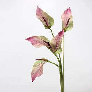 <span class=keywords><strong>ดอกบัว</strong></span><span class=keywords><strong>กวน</strong></span><span class=keywords><strong>อิ</strong></span><span class=keywords><strong>ม</strong></span>ประดิษฐ์คุณภาพสูง ขนาด 78 ซม. สั<span class=keywords><strong>ม</strong></span>ผัสเหมือนจริง ให้ควา<span class=keywords><strong>ม</strong></span>ชุ่มชื้น สำหรับดอกไ<span class=keywords><strong>ม</strong></span>้เดี่ยว รุ่น LO-647 ขายส่ง - Product Image 4