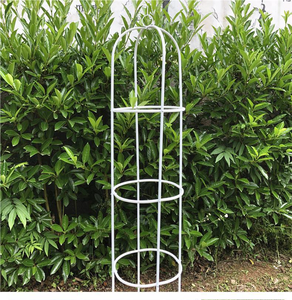 Torre de Enredadera Metálica DaringFish para Jardín, Obelisco de Soporte para Plantas Trepadoras en Interiores y Exteriores, para Flores, Verduras, Frutas y Enredaderas - Product Image 2